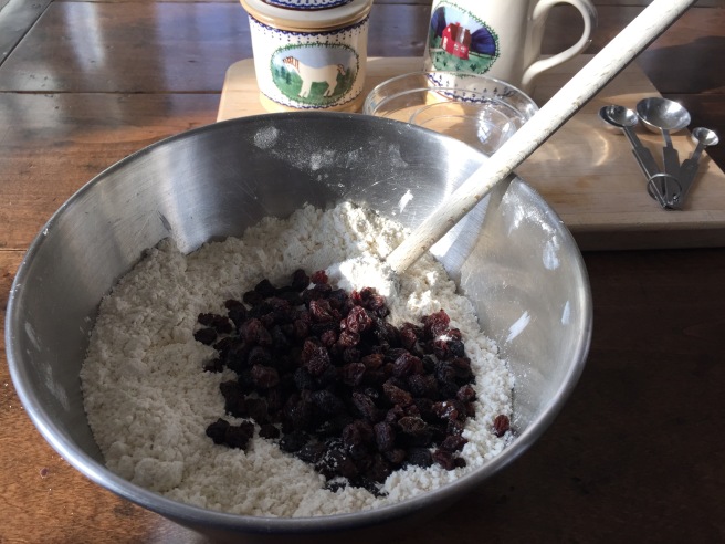Adding raisins to dry ingredients in bowl.