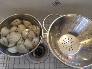Soaking clams in shells to remove grit