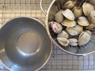 Scrubbed and rinsed clams draining in the colander